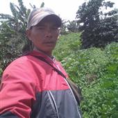 Nổ
