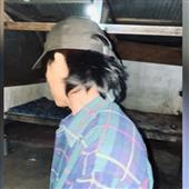 Lễ