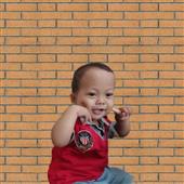 Sứ