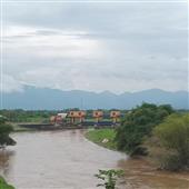 Dự