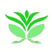 Qu