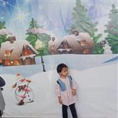 Vậ