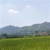 Kế