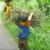 Sự