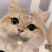 Dự