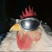 Tr