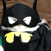 Vò