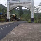 Bầ