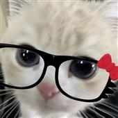Ch