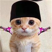 Vò