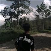 Qu