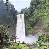 Số