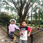 Sự