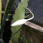 To