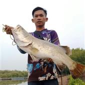 Nằ