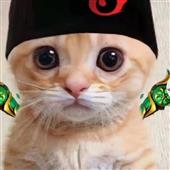 Tả