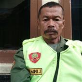 nữ