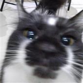 KH