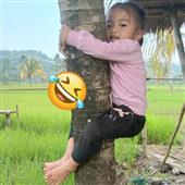 lị