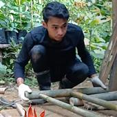 Po