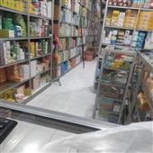 Vĩ