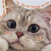 Lị