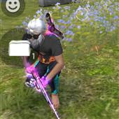 Se