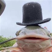 Ti
