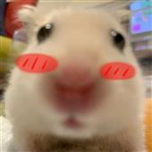 Bi