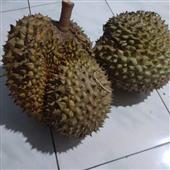 Lu
