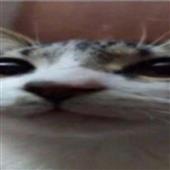 Th