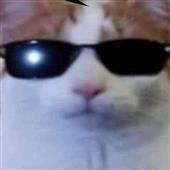 Gi