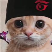 Sứ