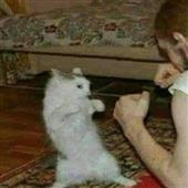 Kh