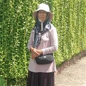 Bắ