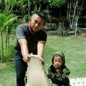 Dự