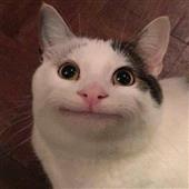 Dự