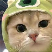 Ni