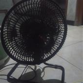 Lị