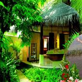 Sự