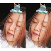 Dự