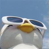 Vũ