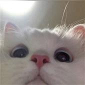 NG
