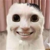 Cư