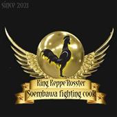 Sp