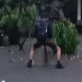 Cá