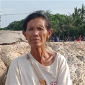 Gi