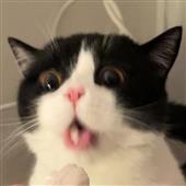 Tr