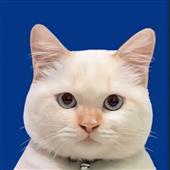 Ng