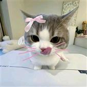 Bữ